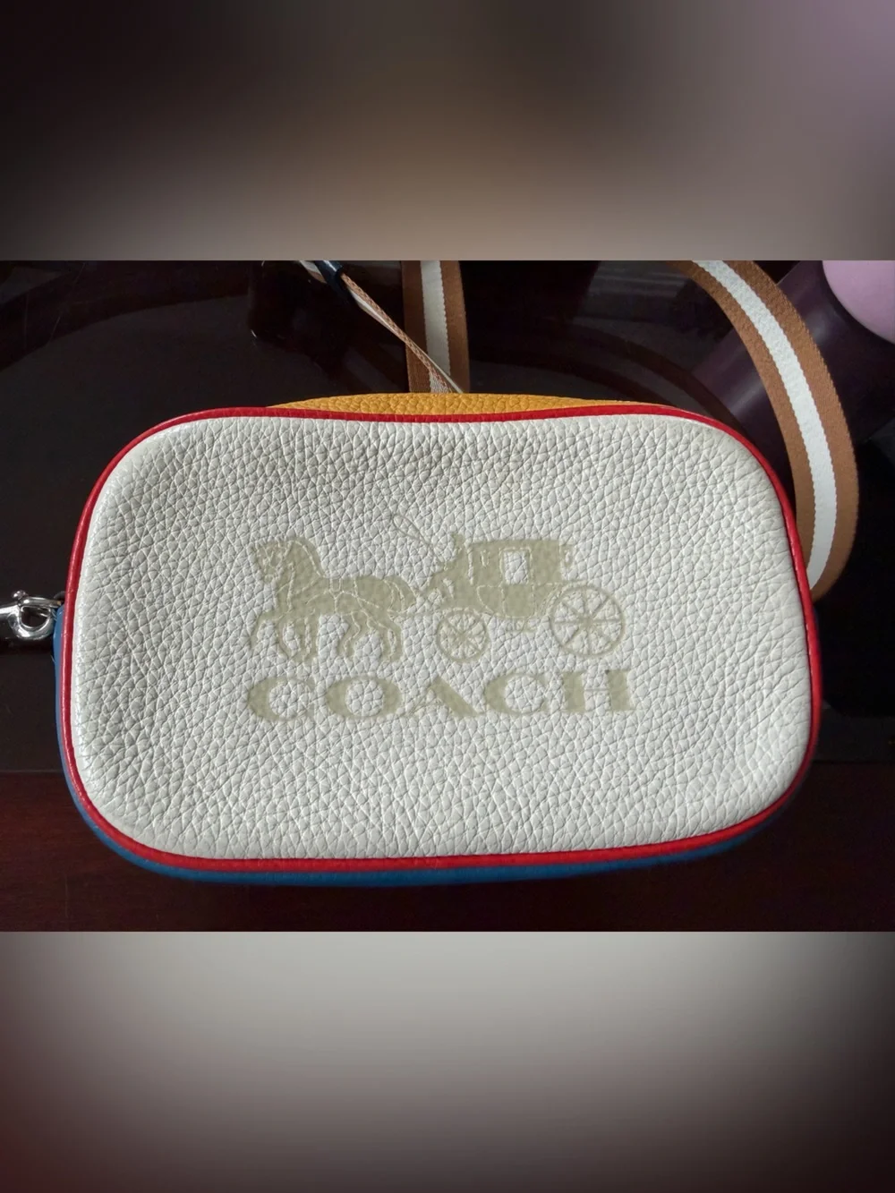 Coach Jes Convertible Colorblock Belt Bag